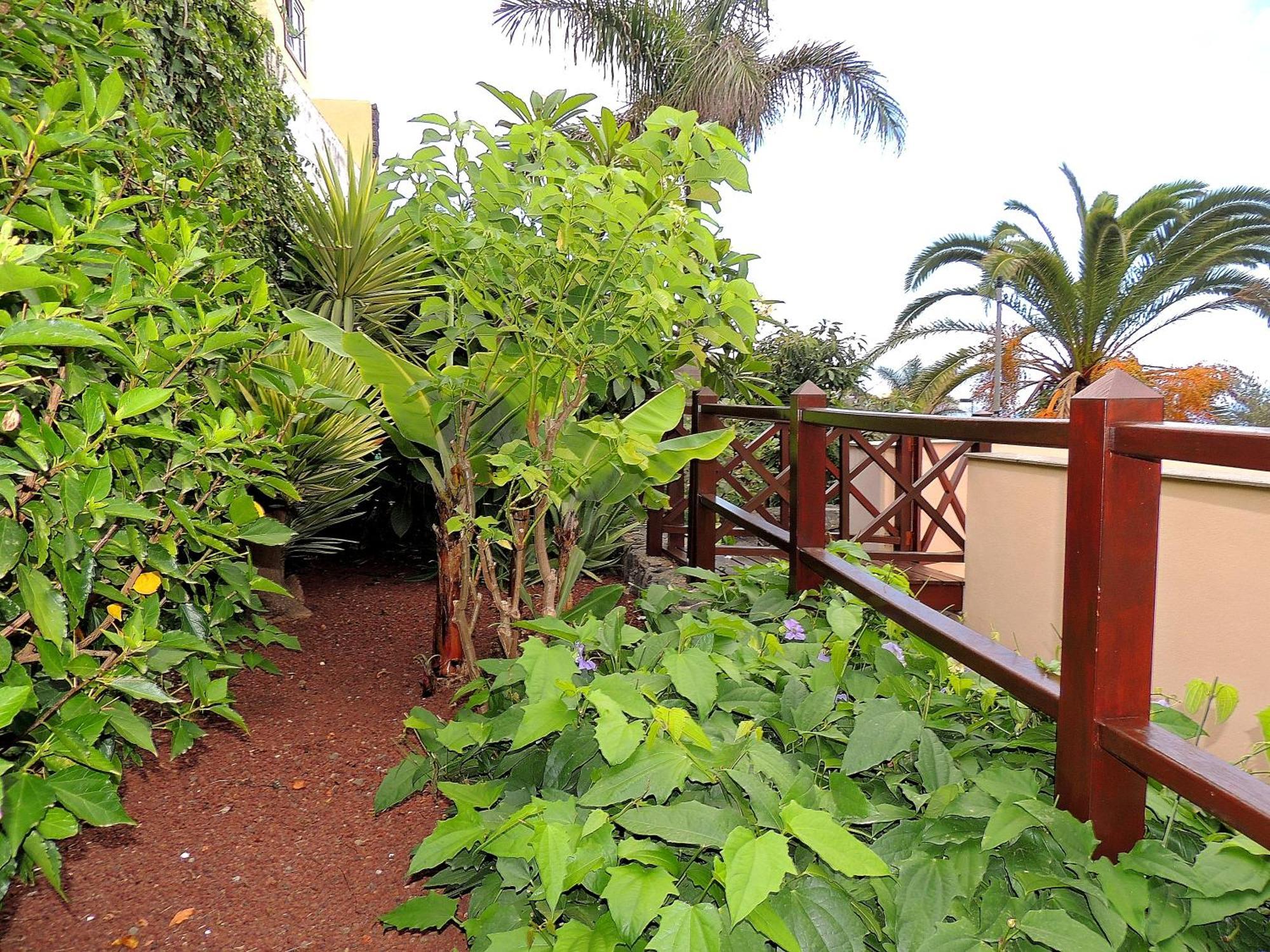 Apartamento Mar Y Teide Саусаль Экстерьер фото